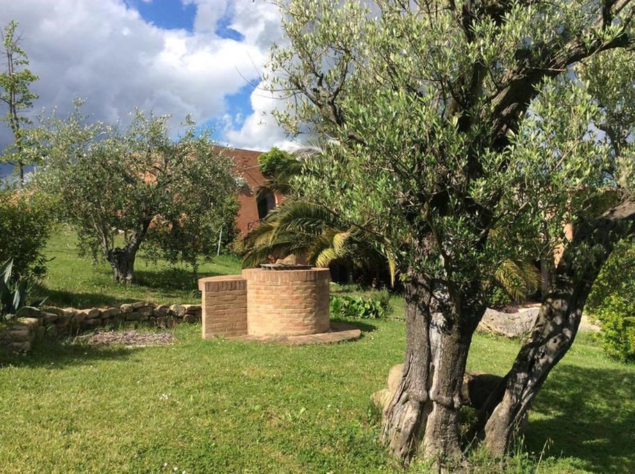 Апартаменты Il Podere Degli Ulivi Colmurano Экстерьер фото
